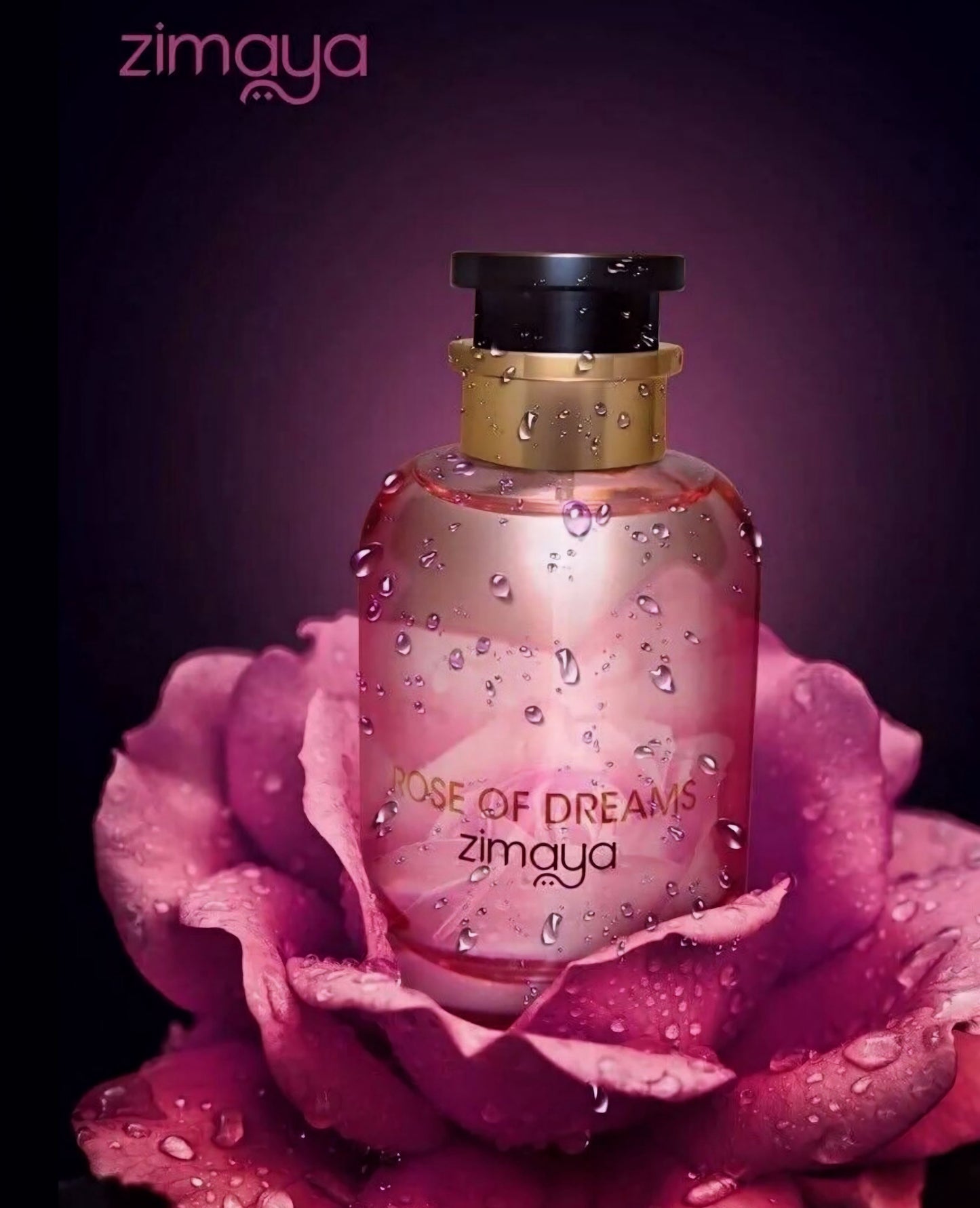 Rosa de los sueños